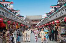 Tokyo Small Group Tour with Guide