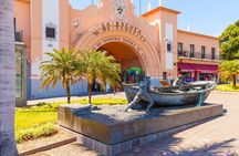 Discover Santa Cruz de Tenerife, The Ultimate City Tour