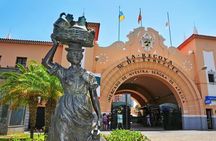 Discover Santa Cruz de Tenerife, The Ultimate City Tour