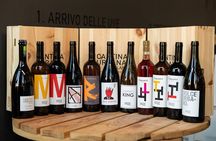 Wine Tasting Experience