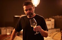 Wine Tasting Experience