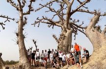 Quad tour of Somone Lagoon and Baobab Spider