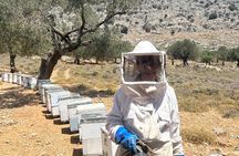 Beekeeping experience " Areti Honey " 