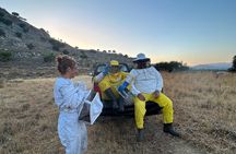 Beekeeping experience " Areti Honey " 