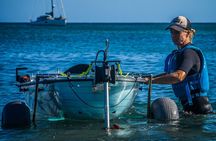 Nautical Experience Tour