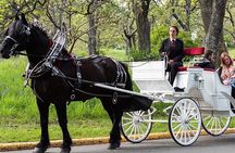 Central Park and NYC Horse Carriage Ride 