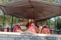 Full day Private Guided Tour of Sarnath from Varanasi 