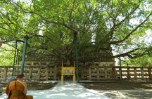 Full day Private Guided Tour of Sarnath from Varanasi 