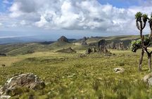 6 Days Private Rhino Conservation Safari in Kenya Tour