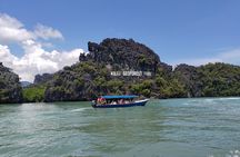 Langkawi Mangrove Boat Tour at Kilim Geoforest Park