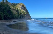 Wild Immersion: Hiking in the Heart of the Rainforest