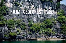 Langkawi Mangrove Boat Tour at Kilim Geoforest Park