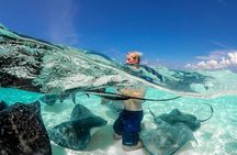 Cayman Adventure Stingrays Starfish plus Crystal Caves 