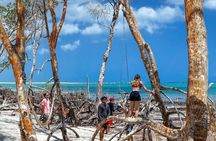 Private Buggy Tour of the West Coast of Jericoacoara