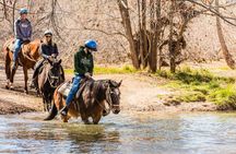 Sedona Horseback Rides At Dead Horse Ranch with River Crossing