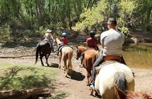 Sedona Horseback Rides At Dead Horse Ranch with River Crossing