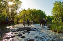 Sedona Horseback Rides At Dead Horse Ranch with River Crossing