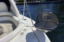 Private Boat Charter Tour in Punta Cana with Unlimited Drinks