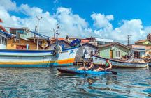 Half Day Guided Kayak Tour in Barra da Lagoa with Snacks