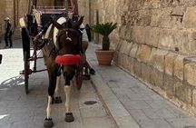 Mysteries of Mdina:Semi private Tour of the Ancient city