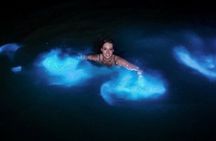 Magical Luminous Lagoon Private Tour