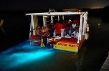 Magical Luminous Lagoon Private Tour