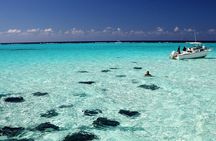 Grand Cayman Stingray City and Reef Snorkeling Combo Tour 