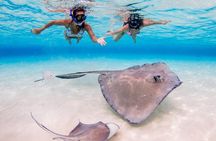 Grand Cayman Stingray City and Reef Snorkeling Combo Tour 