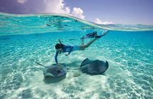 Cayman 3 in 1 Combo: Starfish Point, Stingrays and Reefs