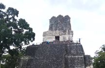 Tikal Day Tour with Pick-up from Flores