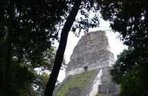 Tikal Day Tour with Pick-up from Flores