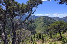 Park City Hiking Activity with Local Guide