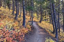 Park City Hiking Activity with Local Guide