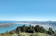 天际线 private Dunedin City & Otago Peninsula Day Tour (up to 8 )