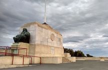 天际线 private Dunedin City & Otago Peninsula Day Tour (up to 8 )