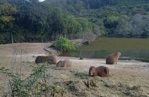 Private Tour in Piriapolis with a Local - Urban Heart Tours