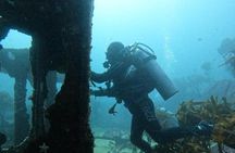 Diving excursion in Quintay