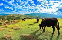 Taiwan TST : Private Tour Taipei, Yangmingshan, Beitou, Tamsui 