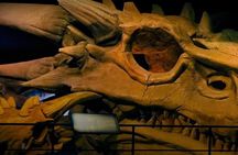 Game of Thrones Studio Tour from Dublin