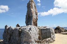 Okinawa Hip-hop Bus C Course Tour to Northern Island