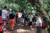 Half Day Spice Tour in Zanzibar 