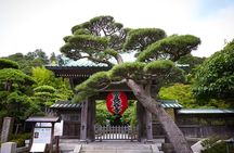 Tokyo Private Car Tour: Kamakura, Enoshima & Yokohama Highlights