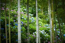 Tokyo Private Car Tour: Kamakura, Enoshima & Yokohama Highlights