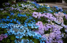 Tokyo Private Car Tour: Kamakura, Enoshima & Yokohama Highlights