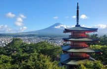 Shimizu Port to Mt. Fuji Guided Private Tour GREEN NUMBER PLATES