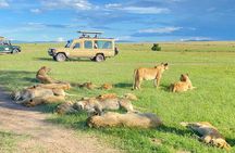 4 Day Safari to Maasai Mara and Nakuru in a Land Cruiser Tour 
