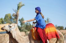 Camel Riding in Agadir