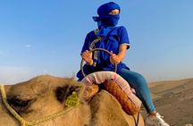 Agafay Desert from Marrakech: Quad bike, Camel ride, Dinner show