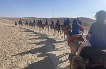 Agafay Desert from Marrakech: Quad bike, Camel ride, Dinner show