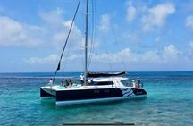 Catamaran with BBQ lunch in Mauritius